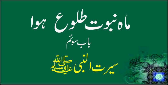 seerat ul nabi in urdu
