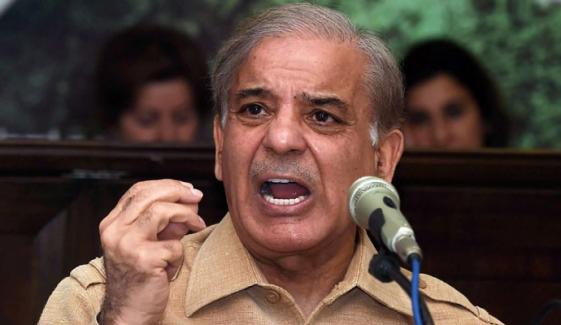 shahbaz sharif