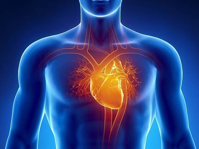 ماحولیاتی آلودگی کم کیجئے، دل صحتمند رکھئے، عالمی ماہرین کی اپیل