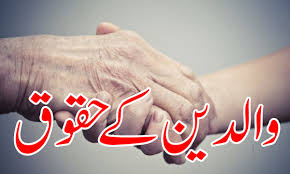 تحفظ ِحقوقِ والدین آرڈیننس