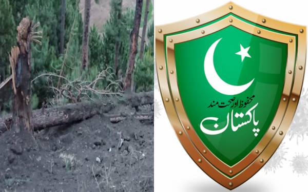 سرجیکل سٹرائیک