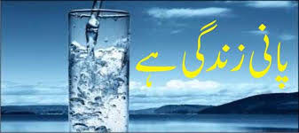 پانی زندگی ہے