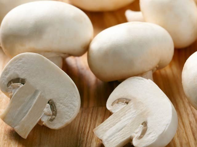 سفید مشروم کئی طرح کے کینسر کو بڑھنے سے روکتی ہے